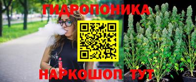 тгк Пенза