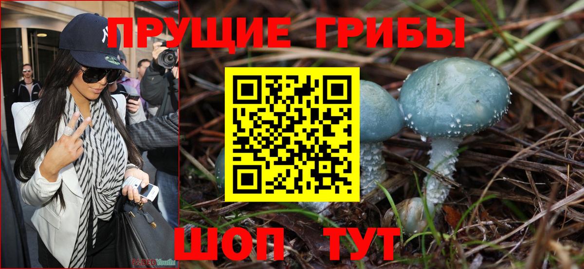 Галлюциногенные грибы мицелий Сегежа