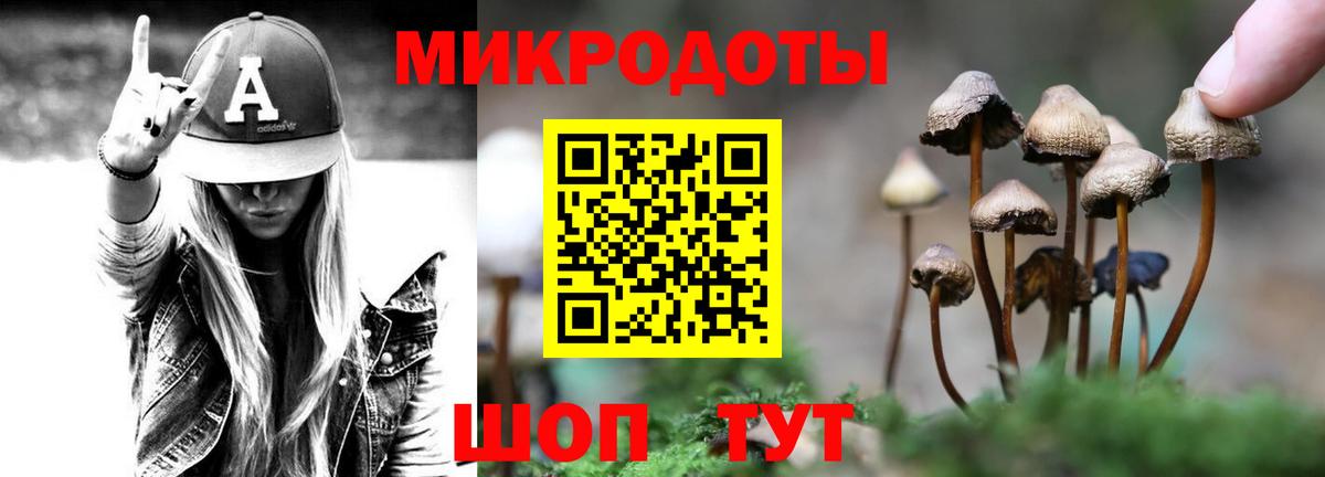 Псилоцибиновые грибы Magic Shrooms  продажа наркотиков  Сегежа  Вход с VPN 